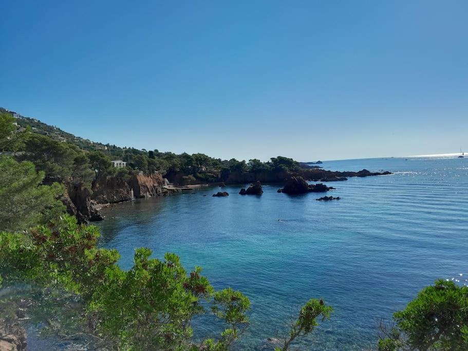 Charmant Studio Lumineux Avec Parking Prive Saint-Raphaël Zewnętrze zdjęcie